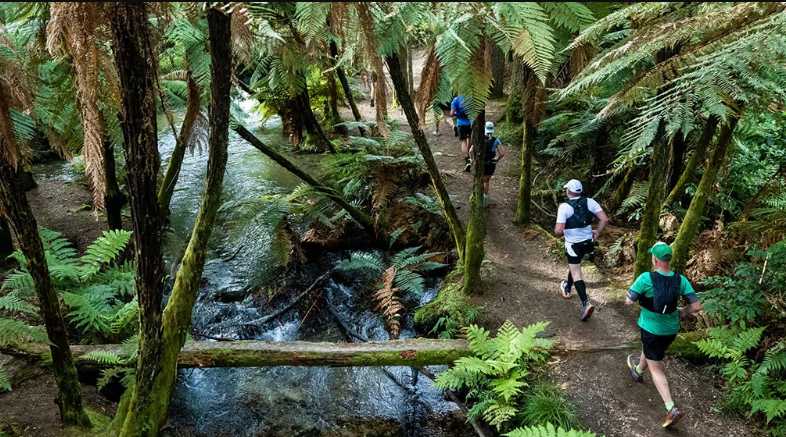 Tarawera Ultramarathon By UTMB® - TUM50