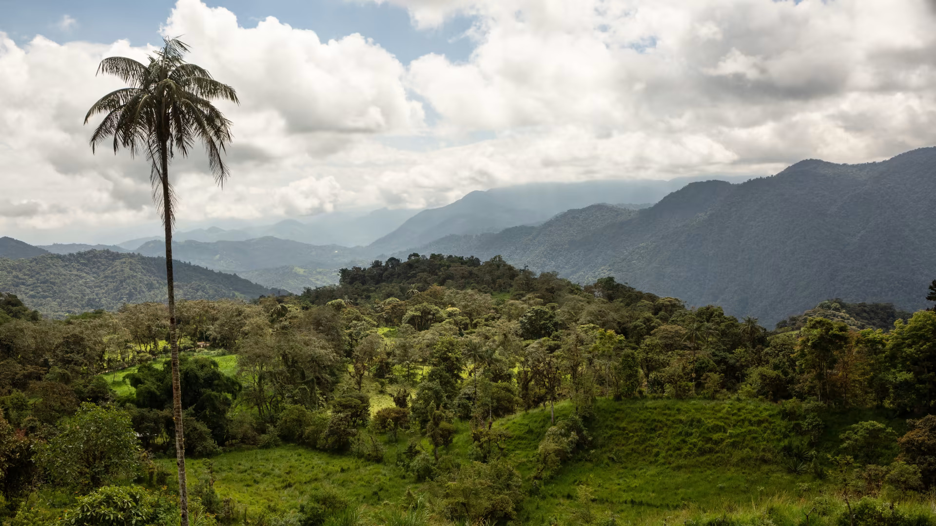 Quito by UTMB - 82K Oso