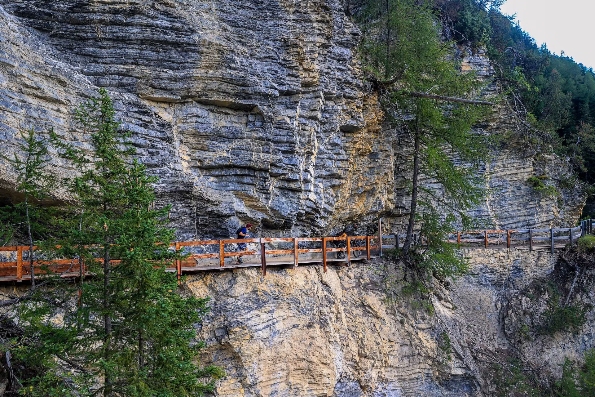 Wildstrubel by UTMB - Wild 110